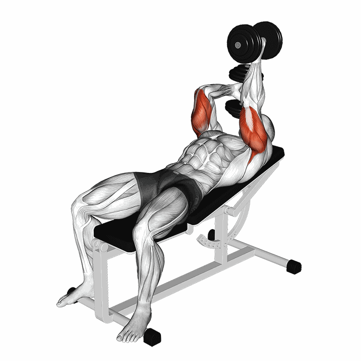 Dumbbell Lying Alternate Extension demonstration