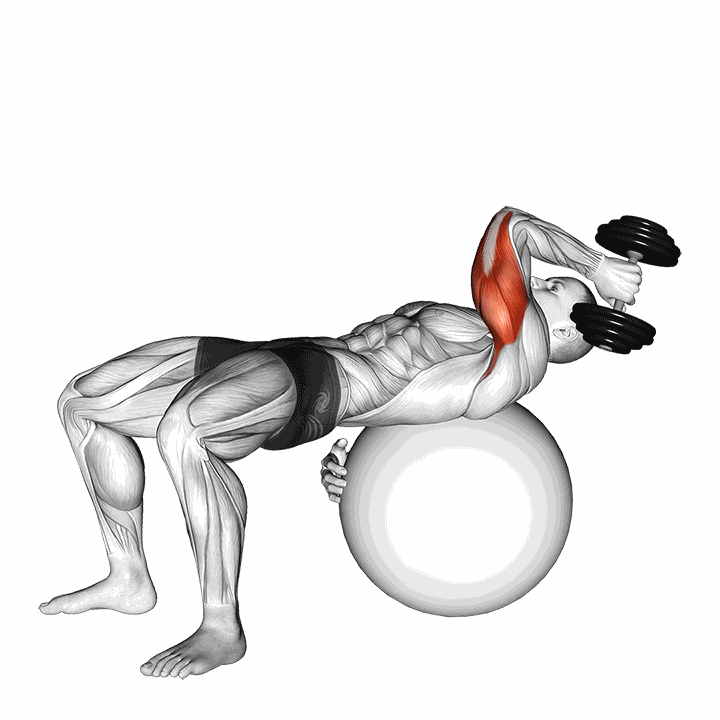 Dumbbell One Arm French Press On Exercise Ball demonstration