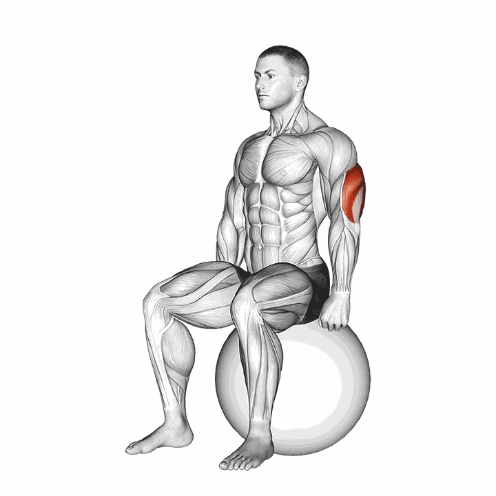 Exercise Ball Seated Triceps Stretch demonstration