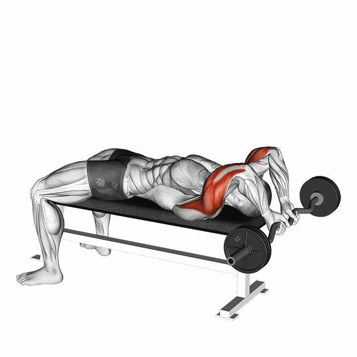 Ez Bar Lying Close Grip Triceps Extension Behind Head demonstration