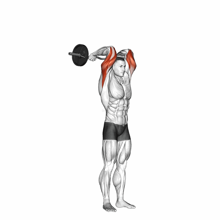 Ez Bar Standing French Press demonstration