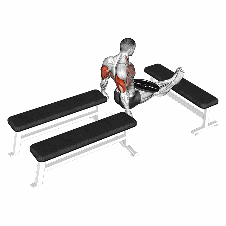 Weighted Three Bench Dips demonstration