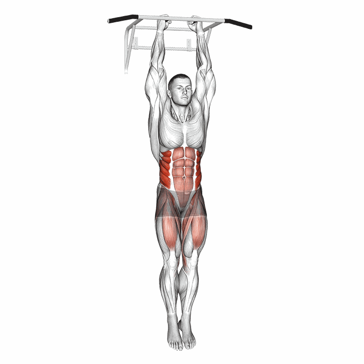 Hanging Oblique Knee Raise demonstration