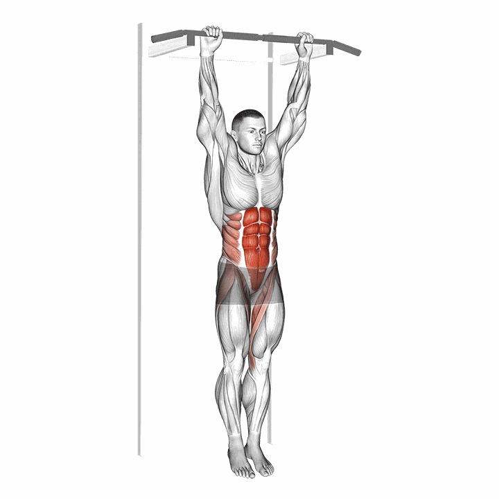 Hanging Leg Hip Raise demonstration