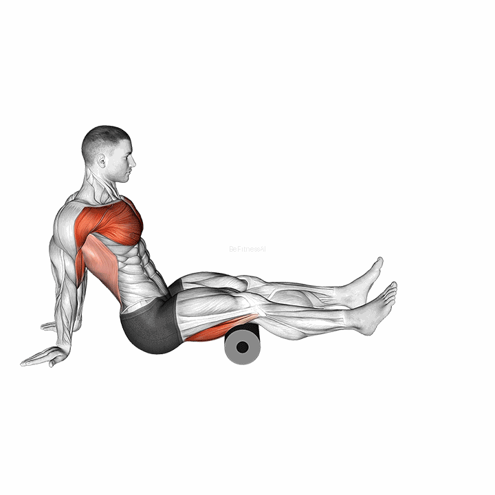 Roller Seated Shoulder Flexor Depresor Retractor demonstration