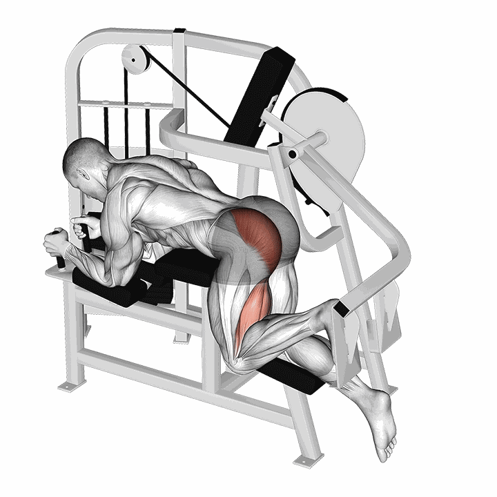 Lever Hip Extension V. 2 demonstration