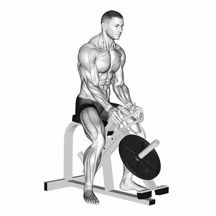 Lever Gripper Hands demonstration