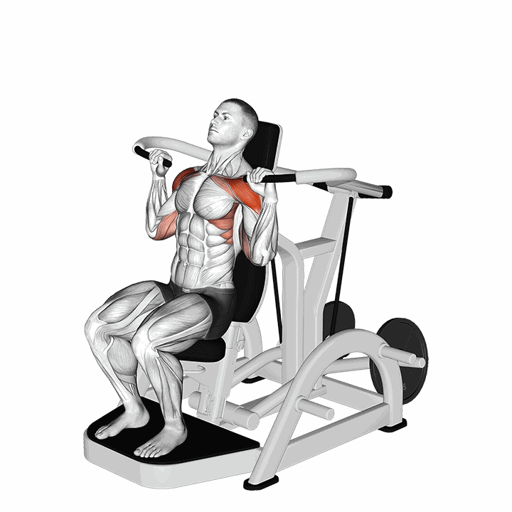 Lever Shoulder Press V. 3 demonstration