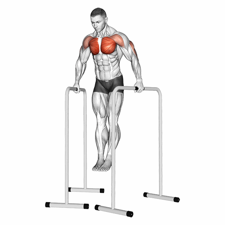 Wide-grip Chest Dip On High Parallel Bars demonstration