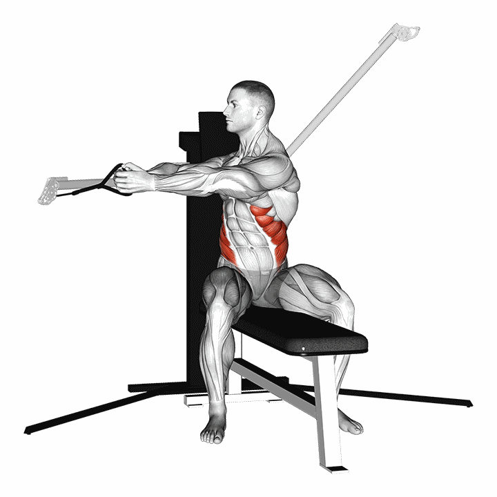 Cable Seated Twist demonstration