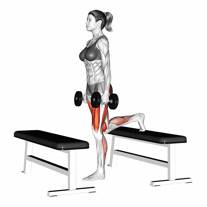 Dumbbell Step-up Lunge demonstration