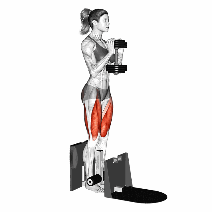 Dumbbell Supported Squat demonstration