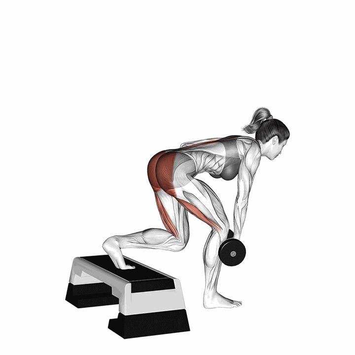 Dumbbell Single Leg Deadlift With Stepbox Support demonstration