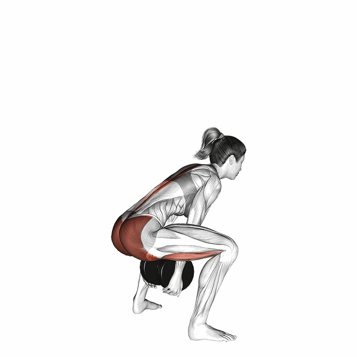 Dumbbell Sumo Pull Through demonstration