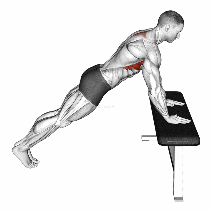 Incline Scapula Push Up demonstration