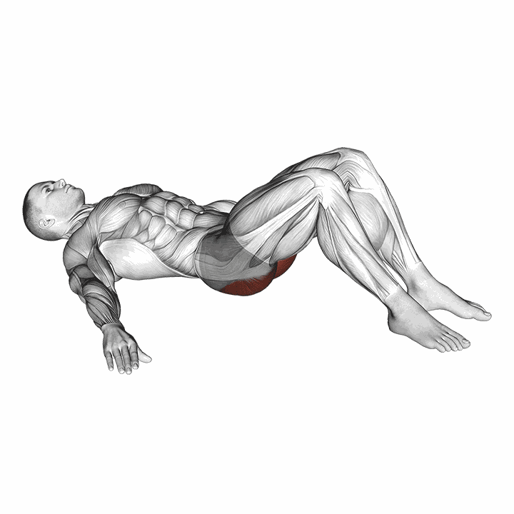 Low Glute Bridge On Floor demonstration