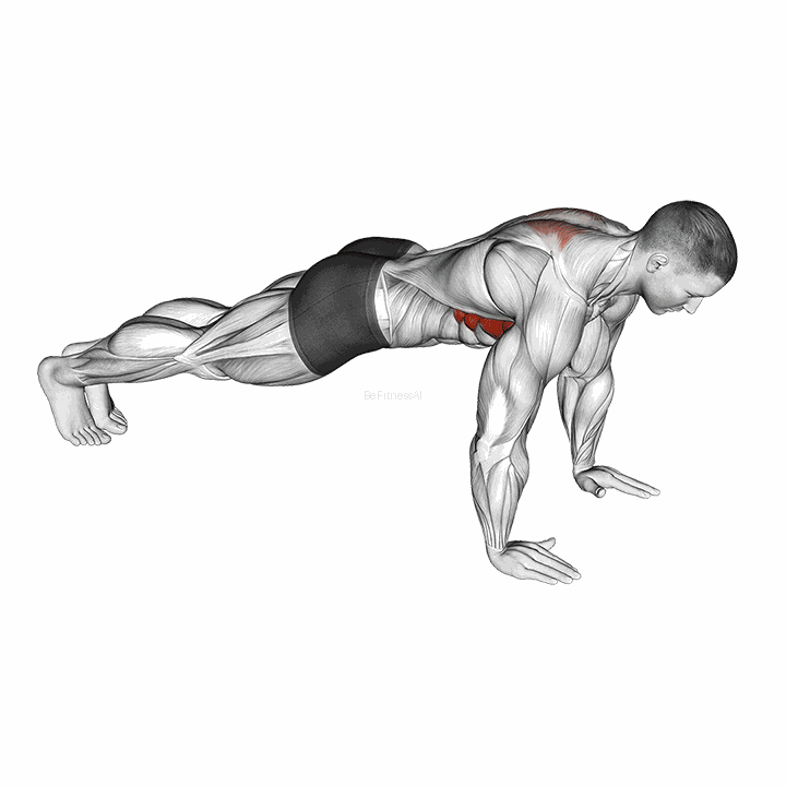 Scapula Push-up demonstration