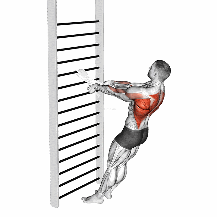 Bodyweight Standing Row (with Towel) demonstration