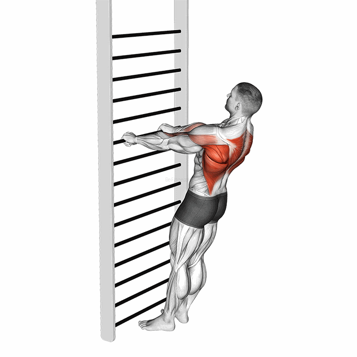 Bodyweight Standing Row demonstration