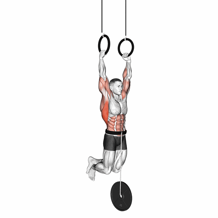 Weighted Muscle Up demonstration