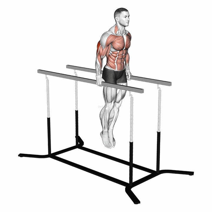 Elbow Dips demonstration