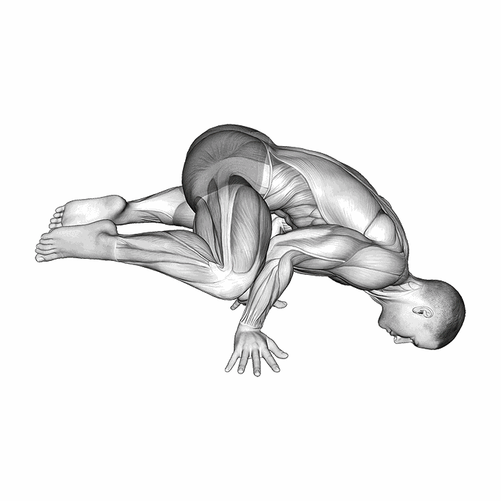 Frog Planche demonstration