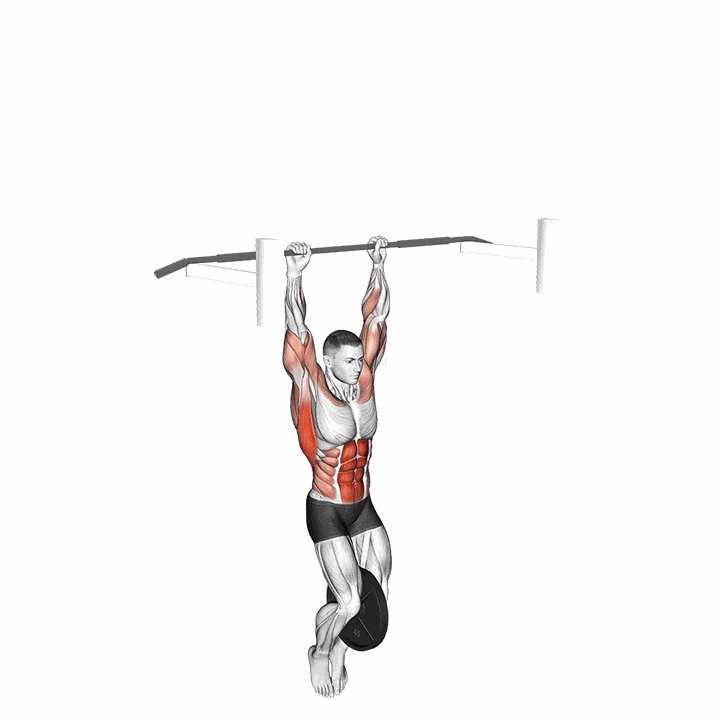 Weighted Muscle Up (on Bar) demonstration