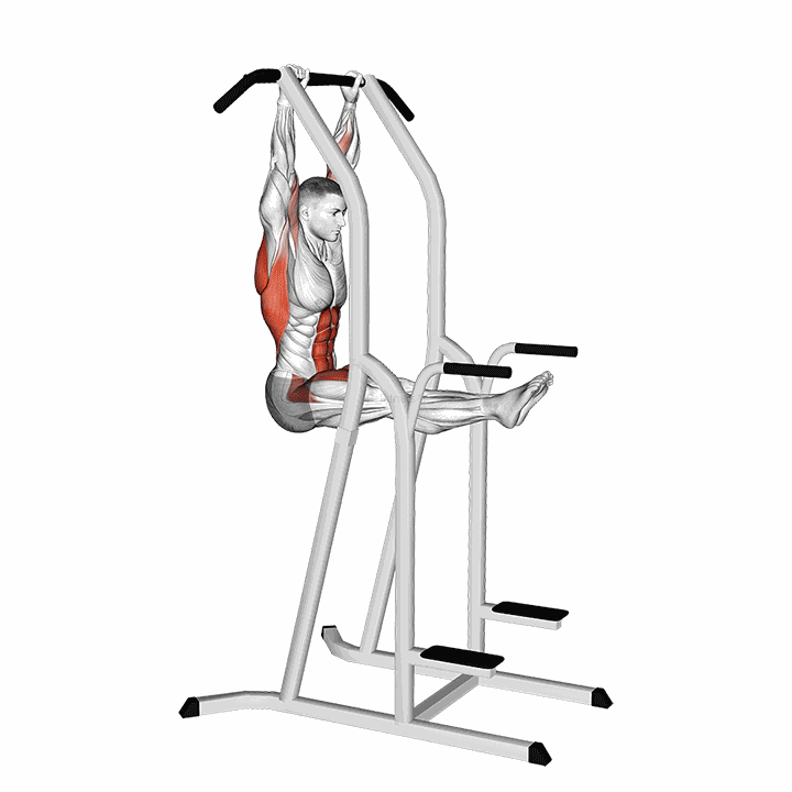 L-pull-up demonstration