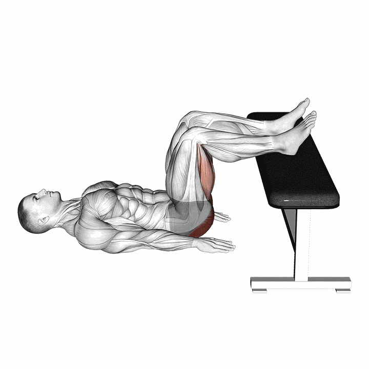 Glute Bridge Two Legs On Bench (male) demonstration