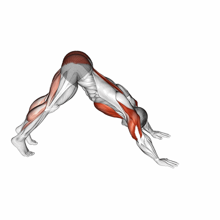 Pike-to-cobra Push-up demonstration