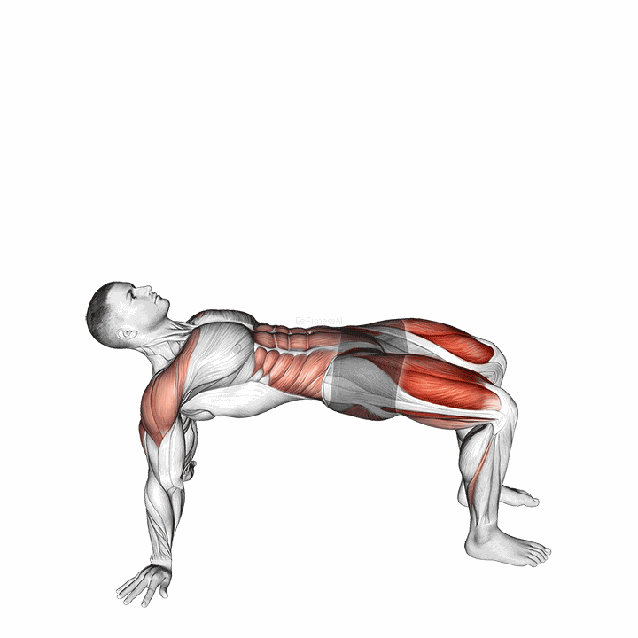Reverse Plank With Leg Lift demonstration