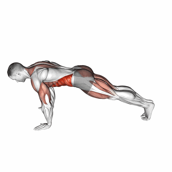 Inchworm V. 2 demonstration